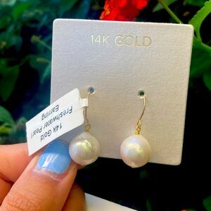 hook on earring